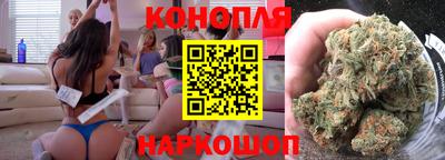 спиды Заводоуковск