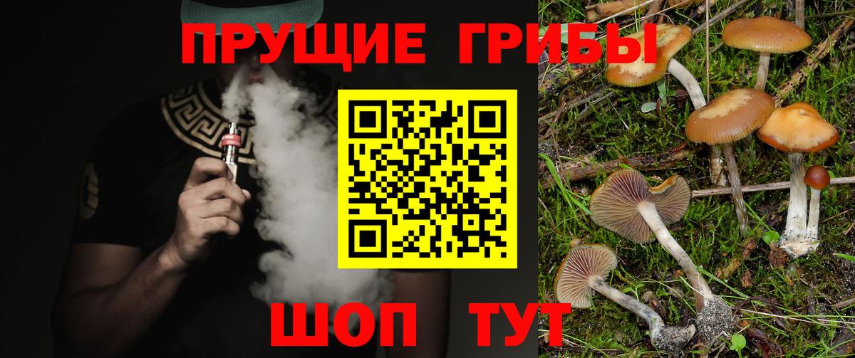 Псилоцибиновые грибы Magic Shrooms Магнитогорск